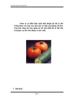 Tiểu luận bảo quản rau quả tươi