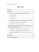 Hiệu quả sử dụng vốn của công ty cổ phần tập đoàn Hòa Phát