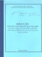 Xây dựng Mô hình xưởng chế biến chè đắng Khổ Đinh Trà loại chè đặc sản tỉnh Cao Bằng