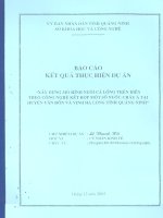Xây dựng Mô hình nuôi cá lồng trên biển theo công nghệ kết hợp một số nước châu Á tại huyện Vân Đồn và Vịnh Hạ Long tỉnh Quảng Ninh