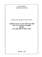 Chính sách và cơ chế tài trợ cho các doanh nghiệp trong cơ chế mới ở Việt Nam