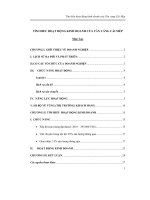 Tìm hiểu hoạt động kinh doanh của tân cảng cái mép