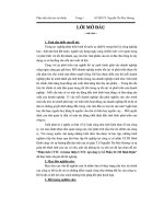 Phân tích cấu trúc tài chính và hoàn thiện cấu trúc tài chính tại công ty Cổ Phần XLTH Bình Định