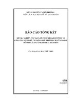 Nghiên cứu xác lập cơ sở khoa học phục vụ công tác đánh giá tác động môi trường chuyên ngành đối với các dự án khai thác lộ thiên