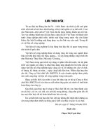 Thực tập sơ bộ tại công ty hoá chất mỏ (MICCO)