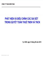 Một số kinh nghiệm trong kiểm toán Báo cáo tài chính