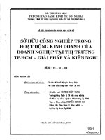 Sở hữu công nghiệp trong hoạt động kinh doanh của doanh nghiệp tại thị trường TP.HCM giải pháp và kiến nghị