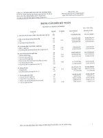 công ty cổ phần dệt may đầu tư  thương mại thành công báo cáo tài chính riêng quý 1 năm 2013 tại 31 tháng 3 năm 2013