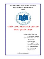 CHIẾN LƯỢC PHÒNG NGỪA RỦI RO BẰNG QUYỀN CHỌN