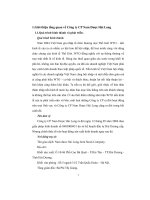 Thực tập tại công ty cổ phần nam dược hải long