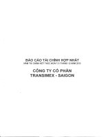 công ty cổ phần transimex saigon báo cáo tài chính hợp nhất năm tài chính kết thúc 31 tháng 12 năm 2013