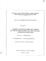 Nghiên cứu hoàn thiện quy trình kỹ thuật nhân giống cây dứa invitro giai đoạn vườn ươm