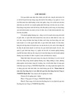 Hoàn thiện kế toán tiêu thụ hàng hoá và xác định kết quả tiêu thụ hàng hoá tại Công ty TNHH thương mại Hạnh Đức