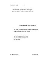 Giải pháp nâng cao năng lực cạnh tranh của công ty xuất nhập khẩu nam cường