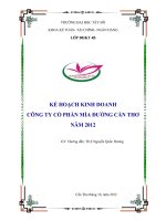 kế hoạch kinh doanh công ty cổ phần mía đường cần thơ năm 2012