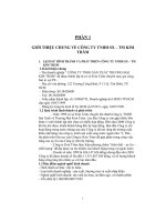 Kiến tập tại công ty TNHH thương mại Kim Trâm Kế toán xác định kết quả hoạt động kinh doanh