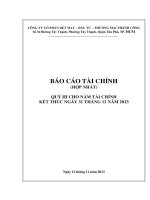 công ty cổ phần dệt may đầu tư  thương mại thành công báo cáo tài chính hợp nhất quý 3 cho năm tài chính kết thúc 31 tháng 12 năm 2013