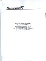 ngân hàng thương mại cổ phần ngoại thương việt nam báo cáo tài chính riêng giữa niên độ tại 31 tháng 3 năm 2013 và cho giai đoạn từ 1 tháng 1 năm 2013 đến 31 tháng 3 năm 2013