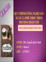 QUY TRÌNH CÔNG NGHỆ SẢN XUẤT CÀ PHÊ THÓC THEO PHƯƠNG PHÁP ƯỚT