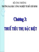 Chương 3: Thuế tiêu thụ đặc biệt