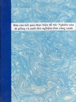Nghiên cứu di giống và nuôi thử nghiệm tôm càng xanh