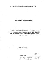 Hoàn thiện cơ chế tổ chức tài chính và tổ chức lại cơ cấu doanh nghiệp để phát huy vai trò  chủ đạo của doanh nghiệp nhà nước tại minh hải
