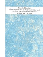 Nghiên cứu kỹ thuật nuôi thâm canh các rô phi vằn Oreochromis Niloticus ở Miền Bắc Việt Nam