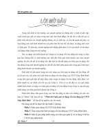 Phân tích hiệu quả sử dụng vốn lưu động tại Công ty cổ phần Giày Bình Định