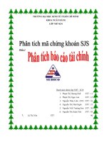 Phân tích tài chính công ty cổ phần đầu tư phát triển đô thị và khu công nghiệp Sông Đà