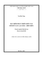 tóm tắt luận án đặc điểm phát triển kiến tạo đới đứt gãy lai châu   điện biên