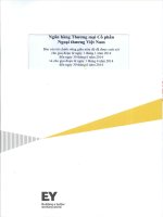 ngân hàng thương mại cổ phần ngoại thương việt nam báo cáo tài chính riêng đã được soát xét  cho giai đoạn từ 1 tháng 1 đến 30 tháng 6 năm 2014 và từ 1 tháng 4 đến 30 tháng 6 năm 2014