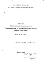 Tổ chức quản lý và phát triển thị trường đá quý ở việt nam