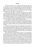 tóm tắt luạn án chế tạo vật liệu điện môi họ srtimo (m = fe, co, ni) và nghiên cứu một số tính chất của chúng