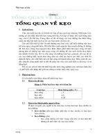TIểu luận sản xuất kẹo