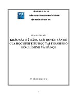 khảo sát kỹ năng giải quyết vấn đề của học sinh tiểu học tại thành phố hồ chí minh và hà nội