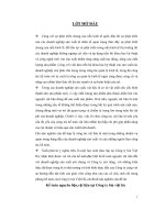 Kế toán nguyên liệu,vật liệu tại Công ty bia Việt Hà