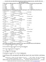 đề cương ôn thi vào lớp 10