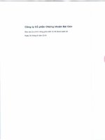 công ty cổ phần chứng khoán sài gòn báo cáo tài chính riêng giữa niên độ đã được soát xét 30 tháng 6 năm 2014