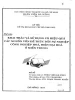 Khai thác và sử dụng có hiệu quả nguồn vốn để thúc đẩy CNH - HĐH các tỉnh miền Trung