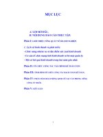 Tình hình tổ chức công tác hạch toán kế toán tại tổng công ty muối