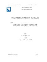 Quản trị phân phối và bán hàng công ty cổ phần tràng an