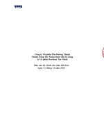 công ty cổ phần mía đường thành thành công tây ninhbáo cáo tài chính cho năm tài chính kết thúc 31 tháng 12 năm 2013