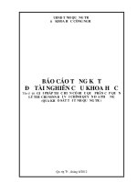 GIẢI PHÁP THỰC HIỆN CÓ HIỆU QUẢ PHÂN CẤP QUẢN LÝ THU CHI NSNN ĐỐI VỚI CHÍNH QUYỀN ĐỊA PHƯƠNG (QUA KHẢO SÁT TẠI TỈNH QUẢNG TRỊ)