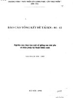 Nghiên cứu chọn tạo một số giống rau chủ yếu và biện pháp kỹ thuật thâm canh