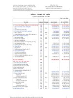 công ty cổ phần dệt may đầu tư thương mại thành công bảng cân đối kế toán báo cáo kết quả hoạt động kinh doanh báo cáo lưu chuyển tiền tệ báo cáo tài chính riêng quý 1 năm 2011