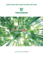ngân hàng thương mại cổ phần ngoại thương việt nam vietcombank thành công không giới hạn báo cáo thường niên 2010