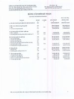 công ty cổ phần dệt may đầu tư thương mại thành công bảng cân đối kế toán báo cáo lưu chuyển tiền tệ báo cáo kết quả hoạt động kinh doanh báo cáo tài chính quý 2 năm 2012 ngày 30 tháng 6 năm 2012