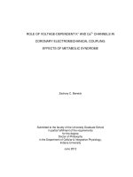 ROLE OF VOLTAGE-DEPENDENT K+ AND Ca2+ CHANNELS IN CORONARY ELECTROMECHANICAL COUPLING: EFFECTS OF METABOLIC SYNDROME