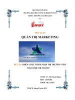 QUẢN TRỊ MARKETING CHIẾN LƯỢC THÂM NHẬP THỊ TRƯỜNG “TRÀTHẢO MỘC DR.THANH