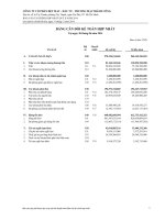 công ty cổ phần cổ phần dệt may đầu tư thương mại thành công bảng cân đối kế toán báo cáo kết quả hoạt động kinh doanh báo cáo tài chính hợp nhất quý 2 này 30 tháng 6 năm 2013